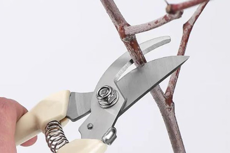 修枝剪刀片什么材質好?銀達科普!