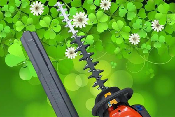 綠籬機刀片太鈍？這樣磨刀刃才鋒利！ 圖1