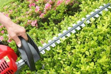 電動綠籬機刀片的價格貴嗎？